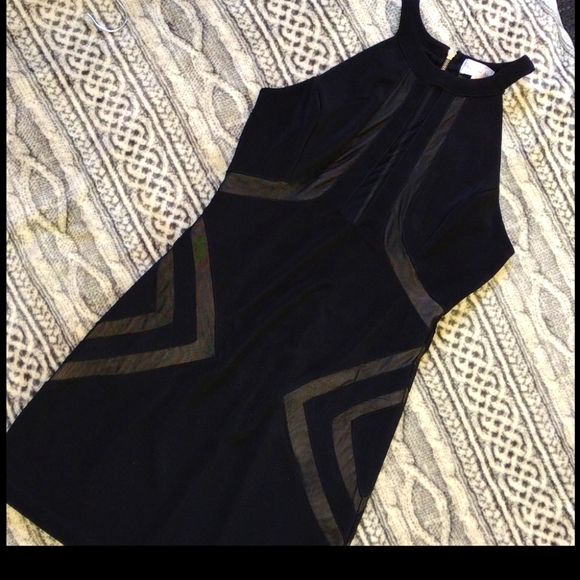 Little Black Dress w/ Mesh Inserts - Picture 10 of 13